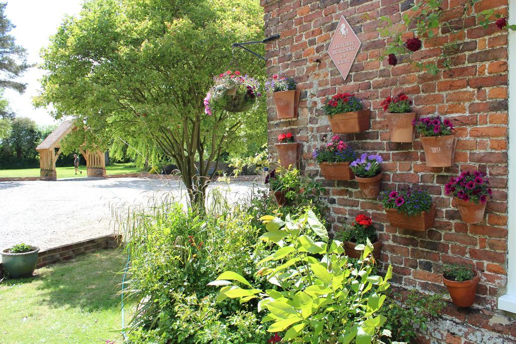 Molland Manor House Bed & Breakfast Sandwich Exterior foto